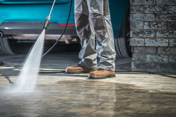 Best Roof Washing  in Arcadia, FL